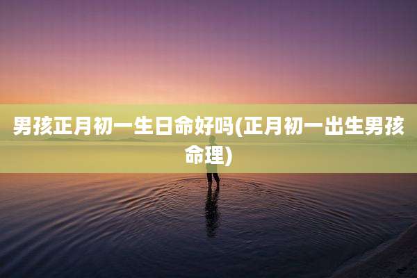 男孩正月初一生日命好吗(正月初一出生男孩命理)