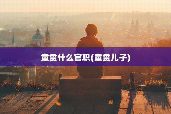 童贯什么官职(童贯儿子)