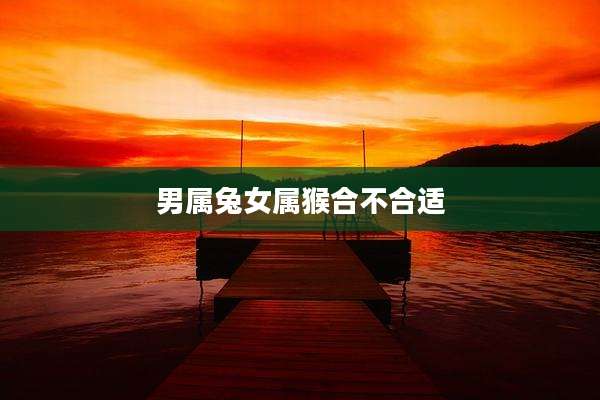 男属兔女属猴合不合适