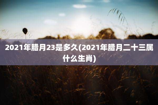 2021年腊月23是多久(2021年腊月二十三属什么生肖)