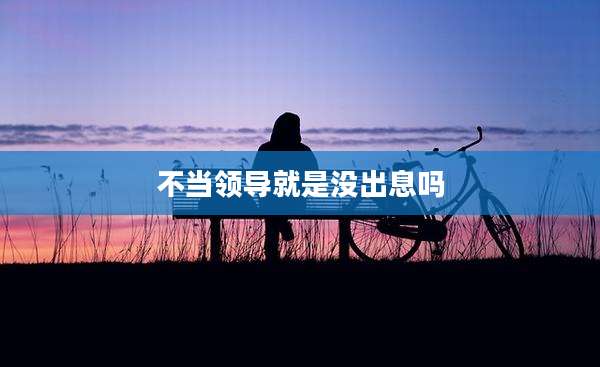 不当领导就是没出息吗