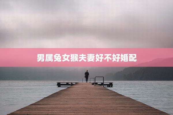 男属兔女猴夫妻好不好婚配