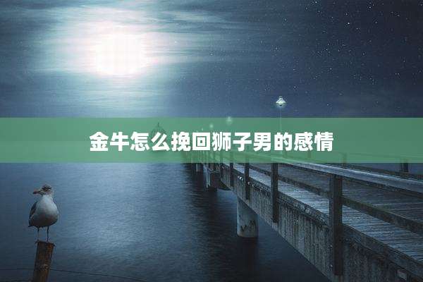 金牛怎么挽回狮子男的感情