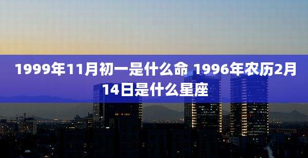 1999年11月初一是什么命 1996年农历2月14日是什么星座