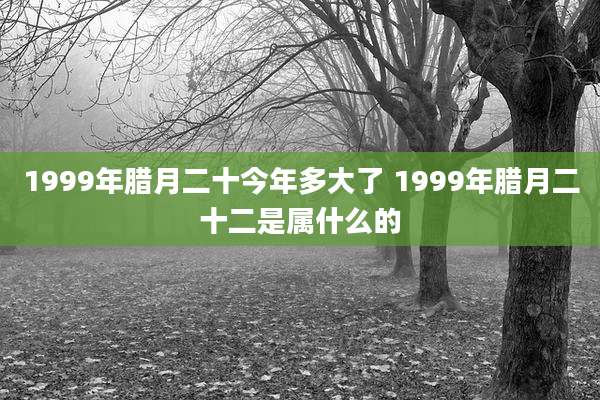 1999年腊月二十今年多大了 1999年腊月二十二是属什么的