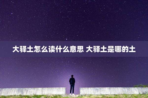 大驿土怎么读什么意思 大驿土是哪的土