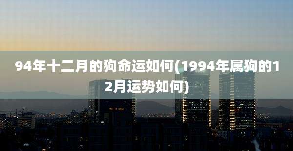 94年十二月的狗命运如何(1994年属狗的12月运势如何)