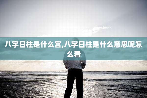八字日柱是什么宫,八字日柱是什么意思呢怎么看