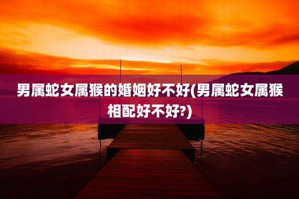 男属蛇女属猴的婚姻好不好(男属蛇女属猴相配好不好?)