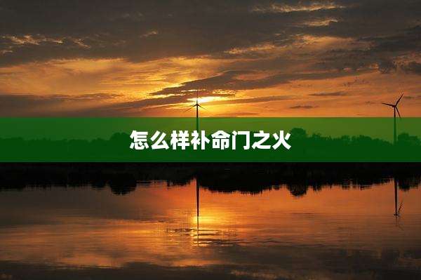 怎么样补命门之火