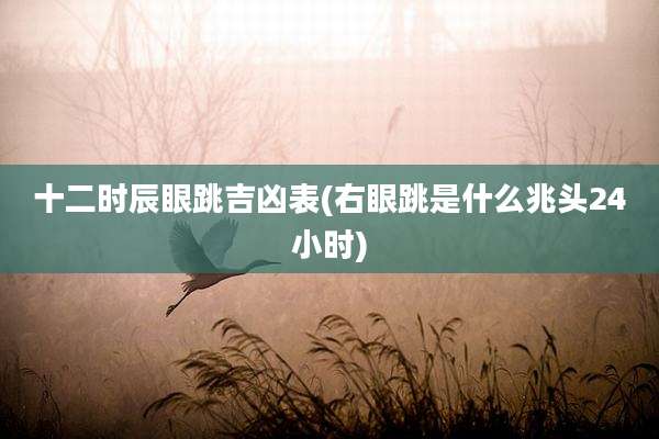 十二时辰眼跳吉凶表(右眼跳是什么兆头24小时)
