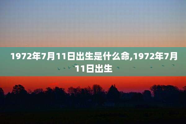1972年7月11日出生是什么命,1972年7月11日出生