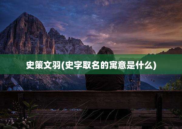 史策文羽(史字取名的寓意是什么)