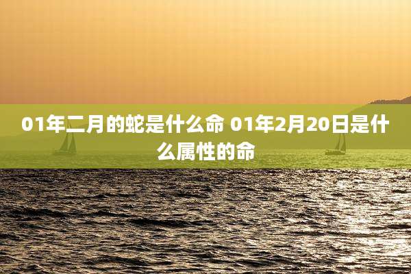 01年二月的蛇是什么命 01年2月20日是什么属性的命