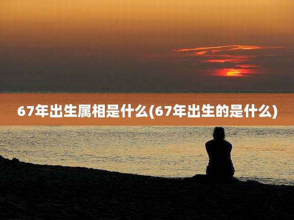 67年出生属相是什么(67年出生的是什么)
