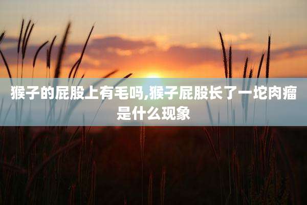 猴子的屁股上有毛吗,猴子屁股长了一坨肉瘤是什么现象