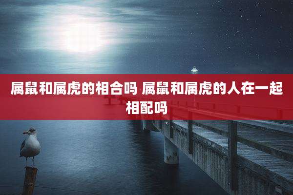 属鼠和属虎的相合吗 属鼠和属虎的人在一起相配吗