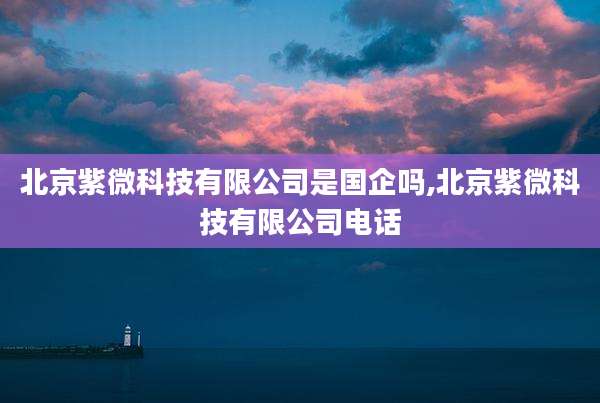 北京紫微科技有限公司是国企吗,北京紫微科技有限公司电话