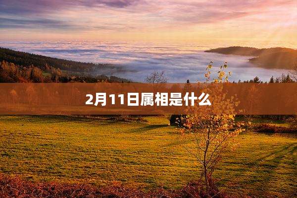 2月11日属相是什么