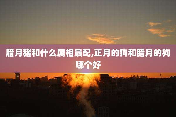 腊月猪和什么属相最配,正月的狗和腊月的狗哪个好