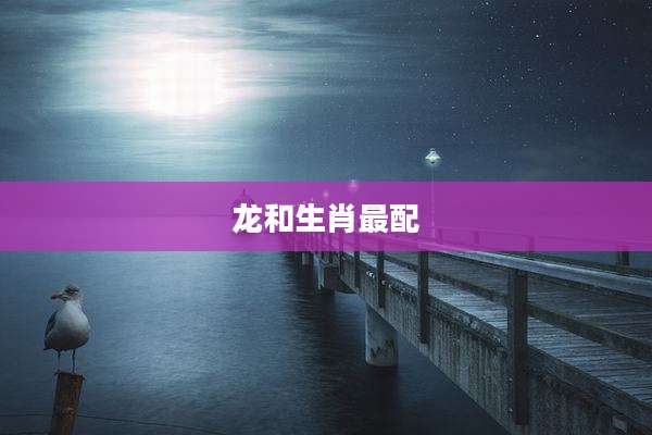 龙和生肖最配