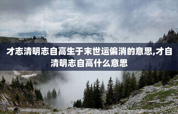 才志清明志自高生于末世运偏消的意思,才自清明志自高什么意思