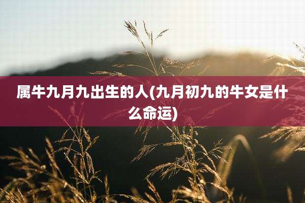 属牛九月九出生的人(九月初九的牛女是什么命运)