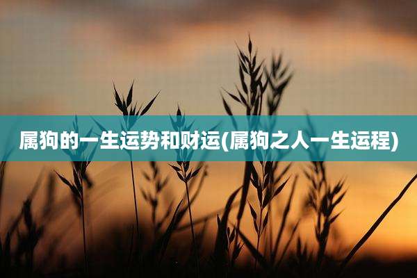 属狗的一生运势和财运(属狗之人一生运程)