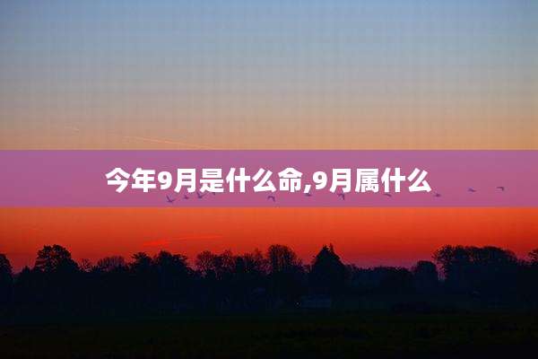今年9月是什么命,9月属什么