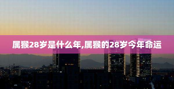 属猴28岁是什么年,属猴的28岁今年命运