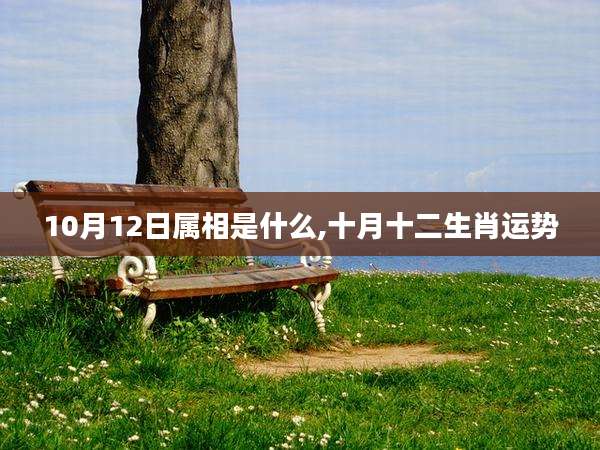 10月12日属相是什么,十月十二生肖运势