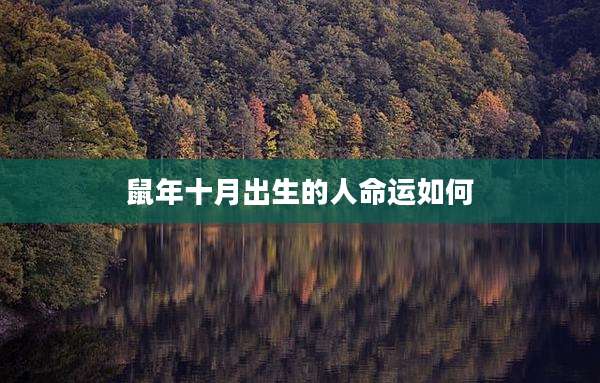 鼠年十月出生的人命运如何