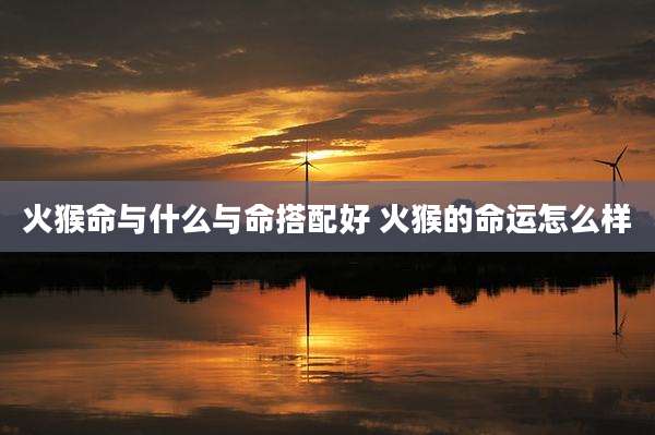 火猴命与什么与命搭配好 火猴的命运怎么样
