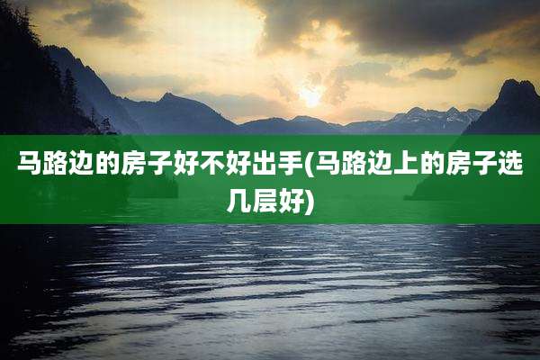 马路边的房子好不好出手(马路边上的房子选几层好)