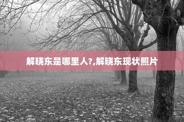 解晓东是哪里人?,解晓东现状照片