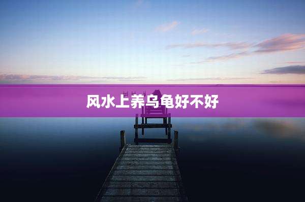 风水上养乌龟好不好