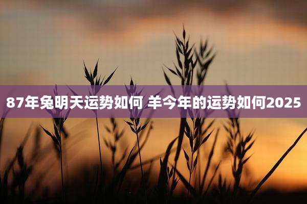 87年兔明天运势如何 羊今年的运势如何2025