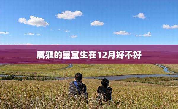 属猴的宝宝生在12月好不好