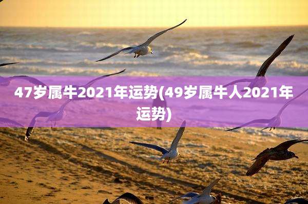 47岁属牛2021年运势(49岁属牛人2021年运势)