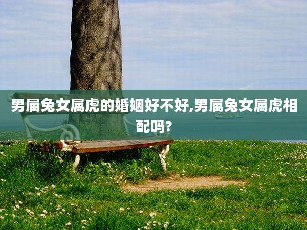 男属兔女属虎的婚姻好不好,男属兔女属虎相配吗?