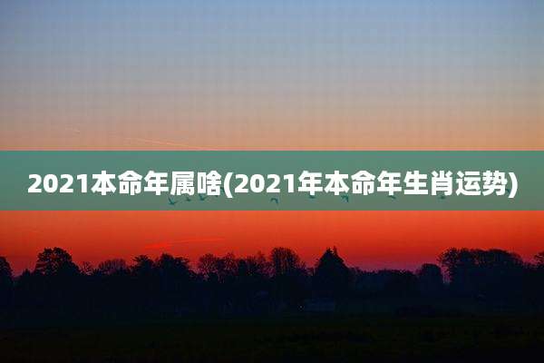2021本命年属啥(2021年本命年生肖运势)