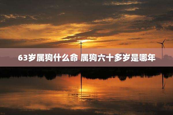 63岁属狗什么命 属狗六十多岁是哪年