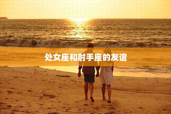 处女座和射手座的友谊