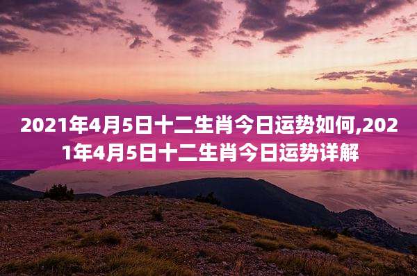 2021年4月5日十二生肖今日运势如何,2021年4月5日十二生肖今日运势详解