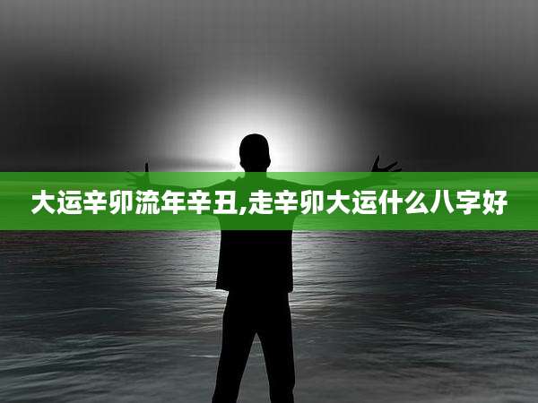 大运辛卯流年辛丑,走辛卯大运什么八字好