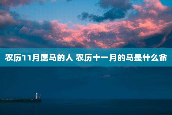 农历11月属马的人 农历十一月的马是什么命