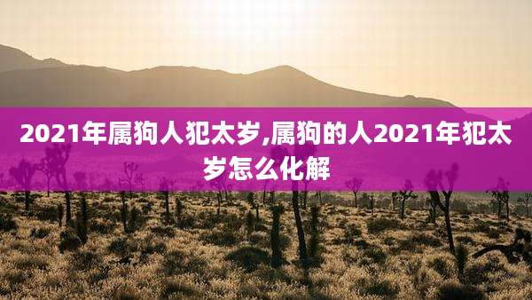2021年属狗人犯太岁,属狗的人2021年犯太岁怎么化解