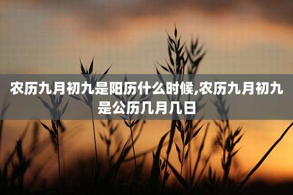 农历九月初九是阳历什么时候,农历九月初九是公历几月几日
