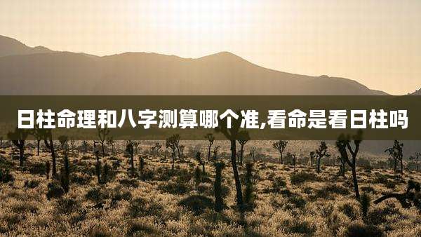 日柱命理和八字测算哪个准,看命是看日柱吗