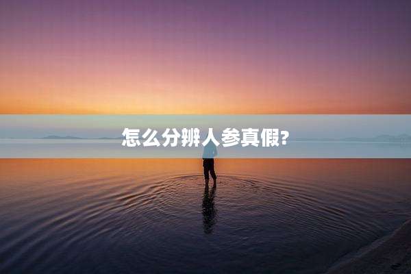 怎么分辨人参真假?